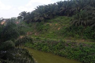 Kelantan Gua Musang Ulu Nenggiri 3400 Acres Palm Oil Land for SALE ‼️