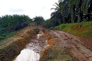 Kelantan Gua Musang Ulu Nenggiri 3400 Acres Palm Oil Land for SALE ‼️