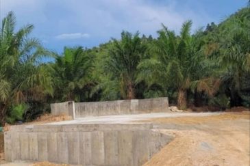 Kelantan Gua Musang Ulu Nenggiri 3400 Acres Palm Oil Land for SALE ‼️