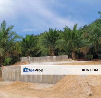 Kelantan Gua Musang Ulu Nenggiri 3400 Acres Palm Oil Land for SALE ‼️, Kelantan, Gua Musang