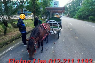 Rawang Bandar Country Home Freehold 4 Sty Shop Office, Matured Neighbourhood. 