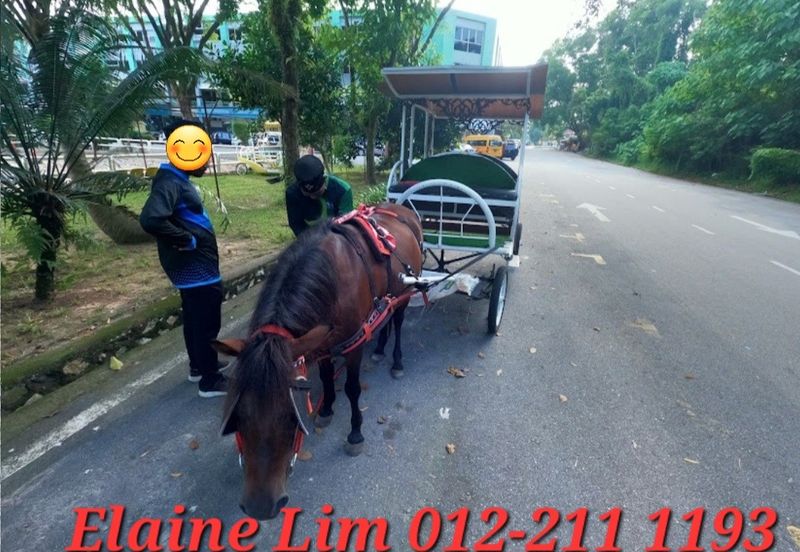 Rawang Bandar Country Home Freehold 4 Sty Shop Office, Matured Neighbourhood. 