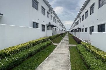 Tate Dalton @ Eco Botanic 2