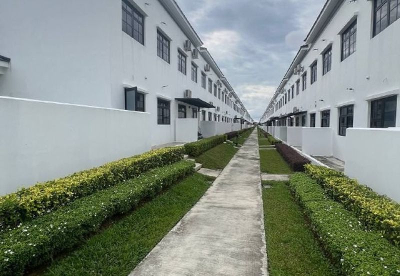 Tate Dalton @ Eco Botanic 2