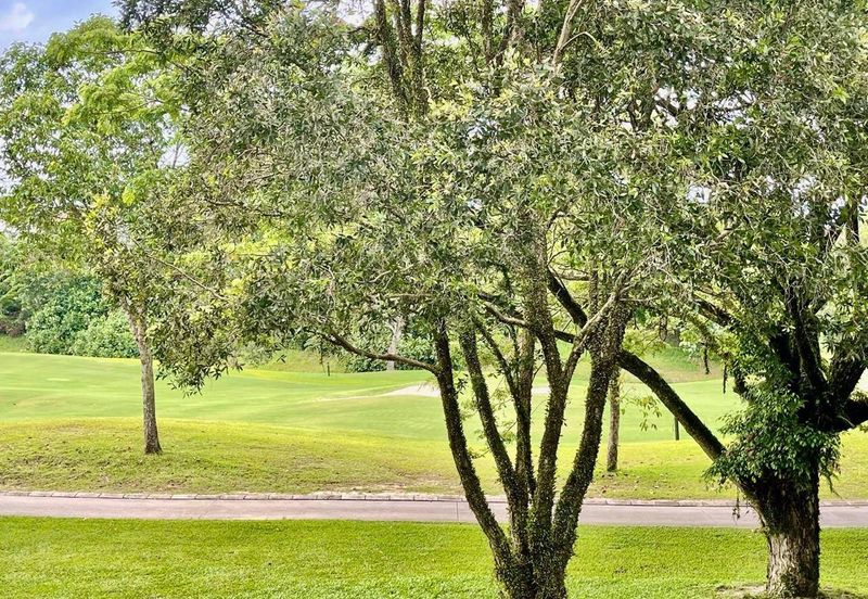 Freehold 2.5 storey semi d renovated at golf east horizon hill for sales