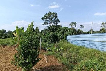 Jalan Besar, Nilai-Pajam