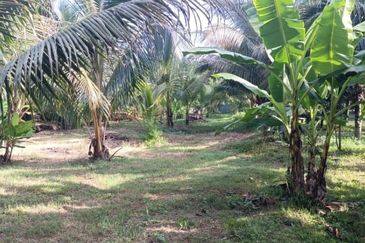 Jalan Besar, Nilai-Pajam