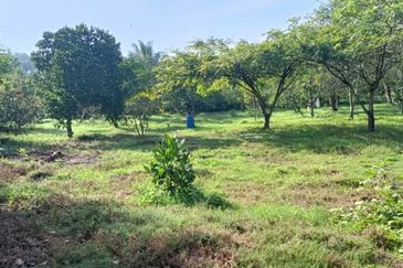 Jalan Besar, Nilai-Pajam