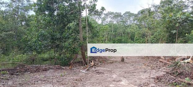 Land for Sale Mantin Pajam Negeri Sembilan, Negeri Sembilan, Seremban
