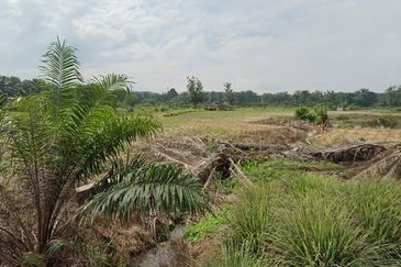 Kampung Baharu Pajam