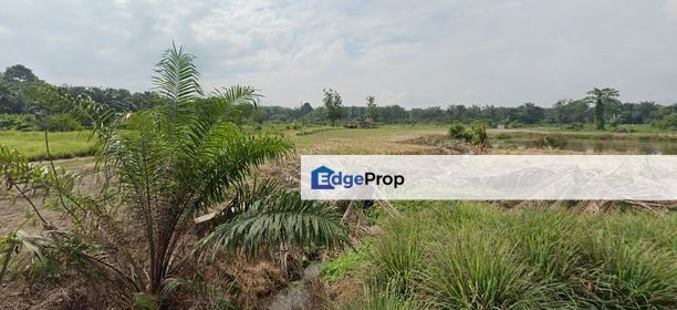 Land for Sale Pajam Seremban Negeri Sembilan, Negeri Sembilan, Mantin