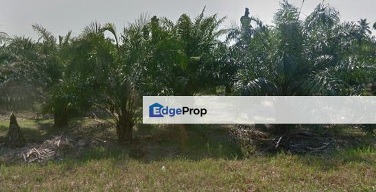 Land for Sale Sepang Selangor, Selangor, Sepang