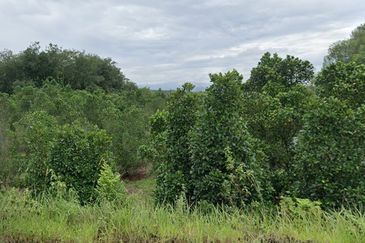 Kampung Baharu Pajam