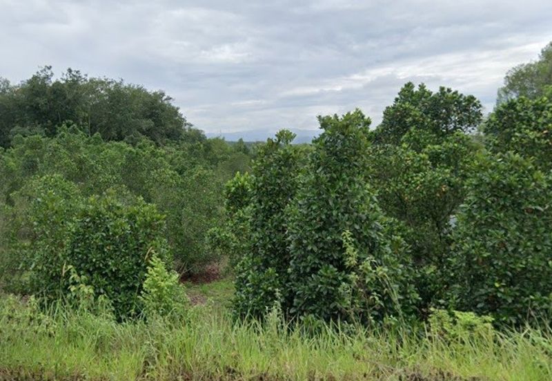 Kampung Baharu Pajam