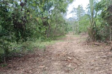 Jalan Besar, Nilai-Pajam