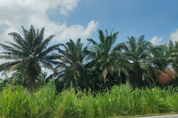 Telok Panglima Garang Zoning Industry Land for Sale