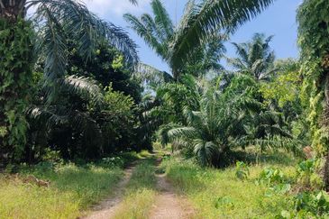 Telok Panglima Garang Zoning Industry Land for Sale