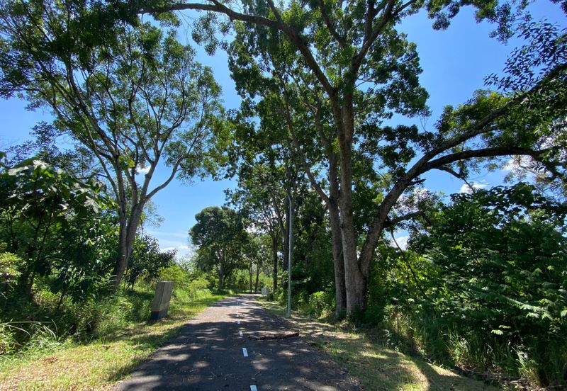 College Heights Garden Resort