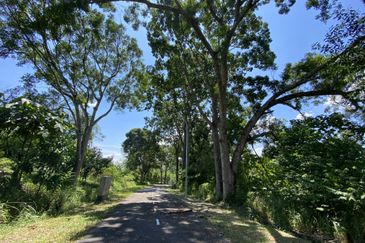 COLLEGE HEIGHTS GARDEN RESORT (PAJAM)