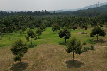 Jalan Broga