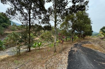 Jalan Broga