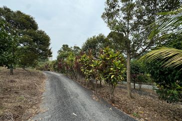 Jalan Broga