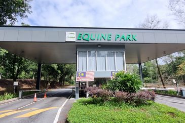 Taman Equine