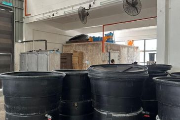 Lekas 32 Industrial Park