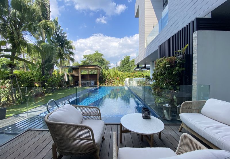 The Lotus of The Mines