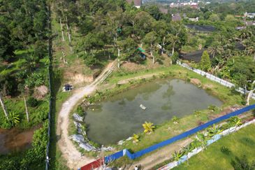 Jalan Broga