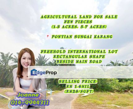 1.5 Acres, 5.7 Acres Few Pieces Agricultural Land @ Pontian, Sungai Karang, Johor, Near Kukup, Johor, Pontian