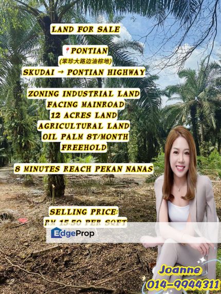 12 Acres Zoning Industrial Land (Oil Palm) @ Pontian, Near Pekan Nanas, Johor, Johor, Pontian