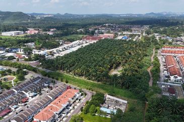 Taman Sri Pekan Nanas