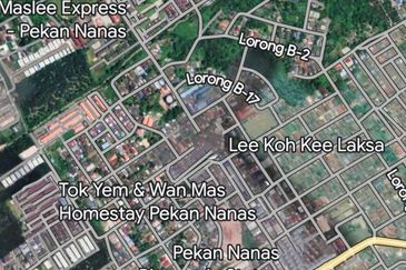 Taman Sri Pekan Nanas