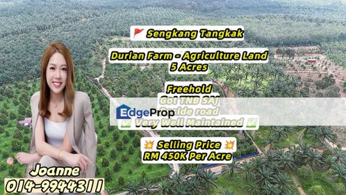 5 Acres Durian Farm Agriculture Land @ Sengkang, Tangkak, Johor, Near Bukit Gambir, Johor, Tangkak