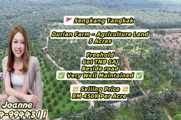 5 Acres Durian Farm Agriculture Land @ Sengkang, Tangkak, Johor, Near Bukit Gambir