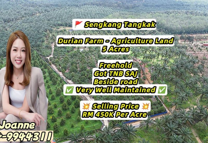 5 Acres Durian Farm Agriculture Land @ Sengkang, Tangkak, Johor, Near Bukit Gambir