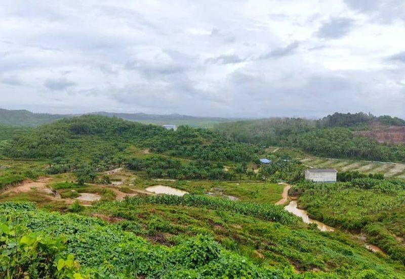 24 Acres Agricultural Land @ Mersing, Johor, Taman Air Merah, Kota Tinggi, Jemaluang