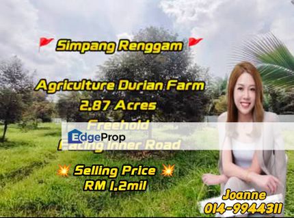 2.87 Acres Agriculture Durian Farm Land @ Simpang Renggam Johor, Johor, Kluang