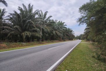 Taman Pontian Utama