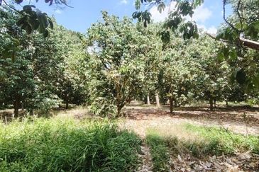 Kawasan Perindustrian Pontian