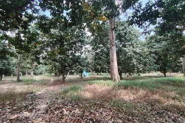 Kawasan Perindustrian Pontian