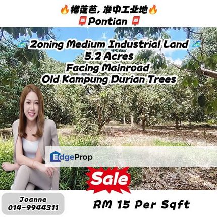 5.2 Acres Durian Farm Zoning Medium Industrial Land @ Pontian, Johor, Johor, Pontian