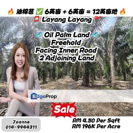 2 Adjoining Oil Palm Land @ Layang-Layang, Johor, Johor, Layang Layang