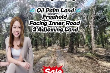 2 Adjoining Oil Palm Land @ Layang-Layang, Johor