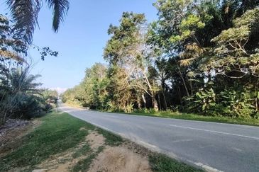 4.6 Acres Agriculture Land (Oil Palm Trees) @ Layang-Layang, Johor, Facing Main Road
