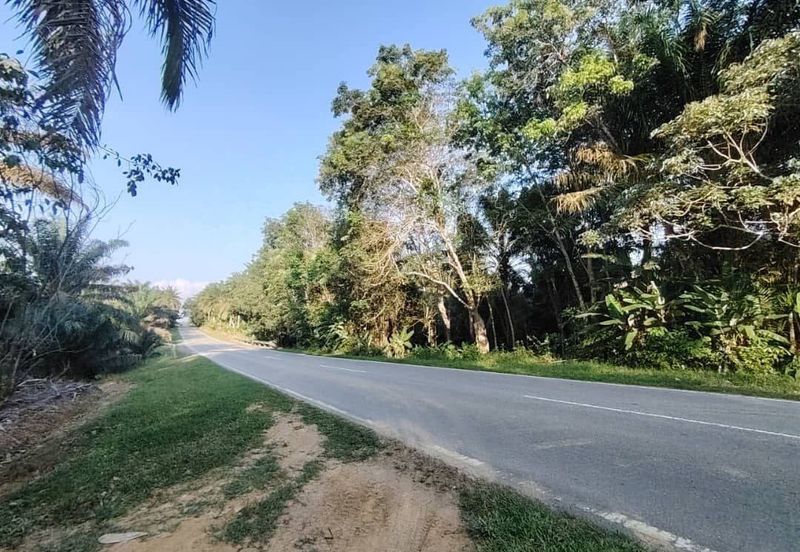 4.6 Acres Agriculture Land (Oil Palm Trees) @ Layang-Layang, Johor, Facing Main Road