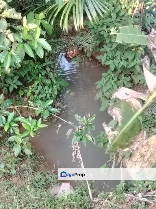 4.6 Acres Agriculture Land (Oil Palm Trees) @ Layang-Layang, Johor, Facing Main Road, Johor, Layang Layang