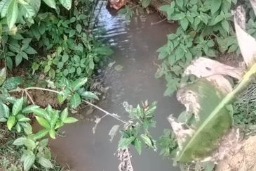 4.6 Acres Agriculture Land (Oil Palm Trees) @ Layang-Layang, Johor, Facing Main Road