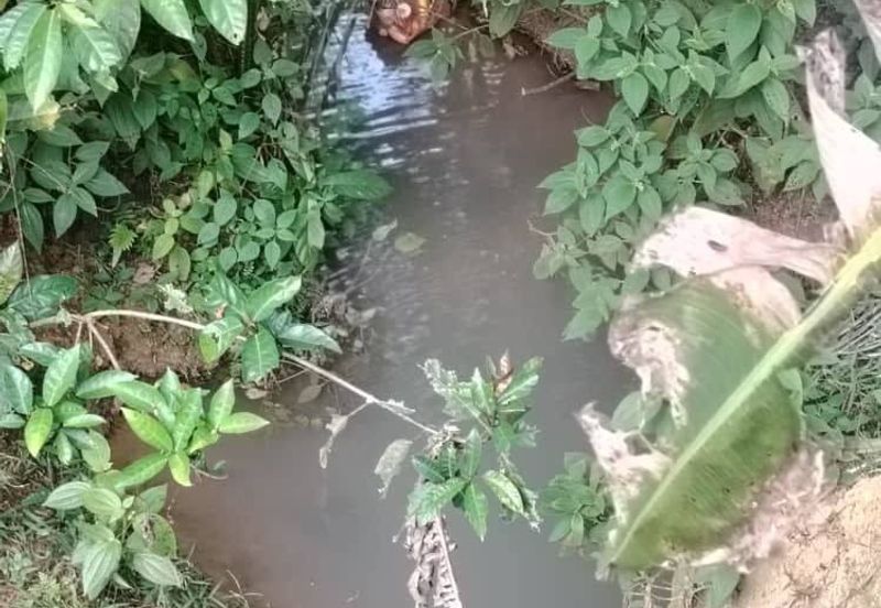 4.6 Acres Agriculture Land (Oil Palm Trees) @ Layang-Layang, Johor, Facing Main Road